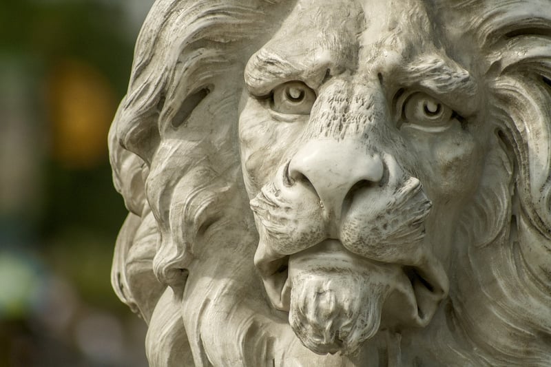 Lion in the jungle